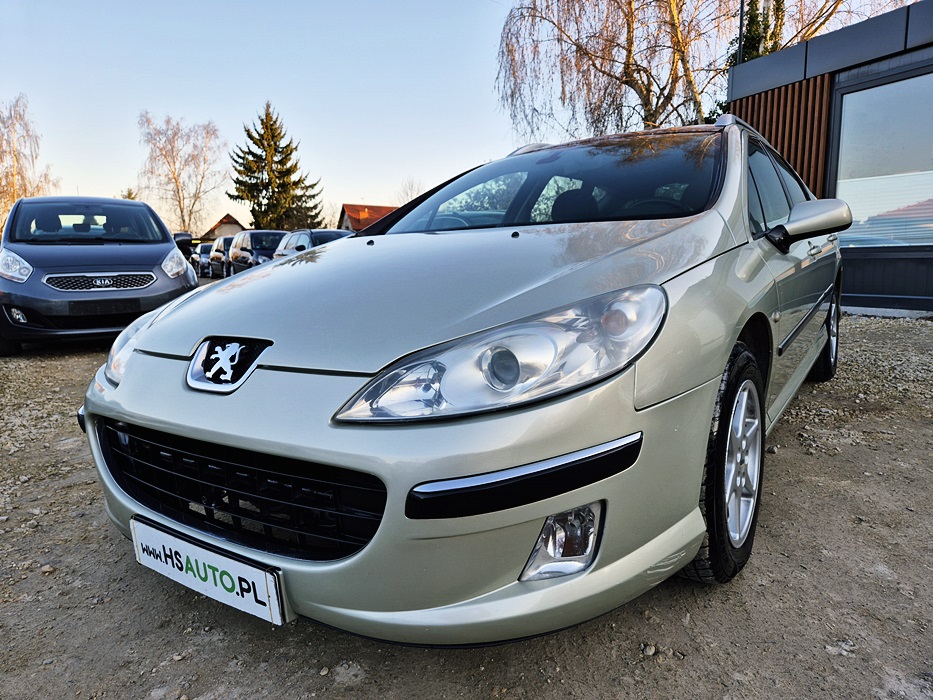 Peugeot 407sw